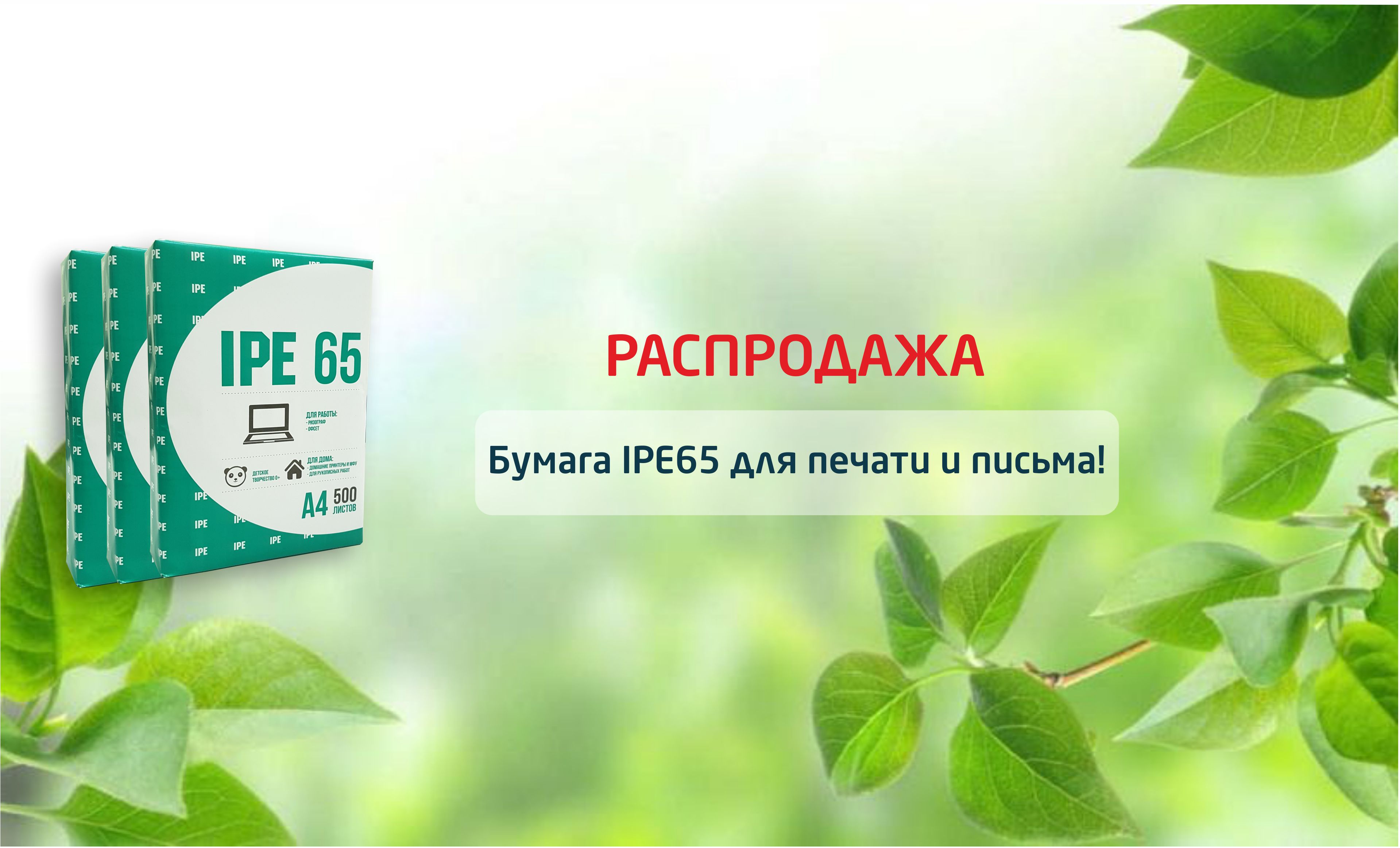 Акция на форматную бумагу IPE 65